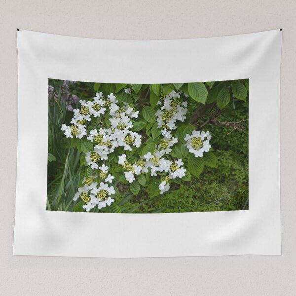 Item preview, Hipster Hobblebush designed and sold by Megan Nicole Czerwinski.