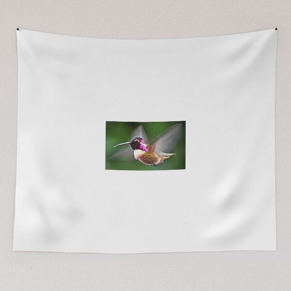 Item preview, MALE COSTA'S HUMMINGBIRD IN FLIGHT designed and sold by JAYMILO.