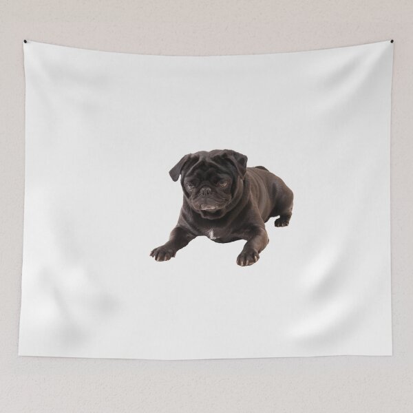 Item preview, Funny Sleeping Black Pug designed and sold by Ilze Lucero.