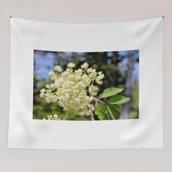 Item preview, Red Elderberry Blossoms II designed and sold by Kathleen Daley.