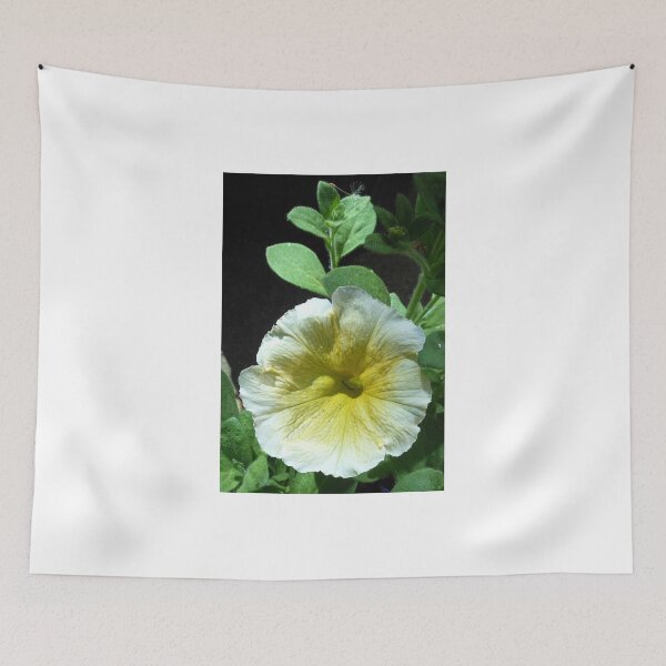 Item preview, Sunlit Yellow and White Petunia designed and sold by MidnightMelody.