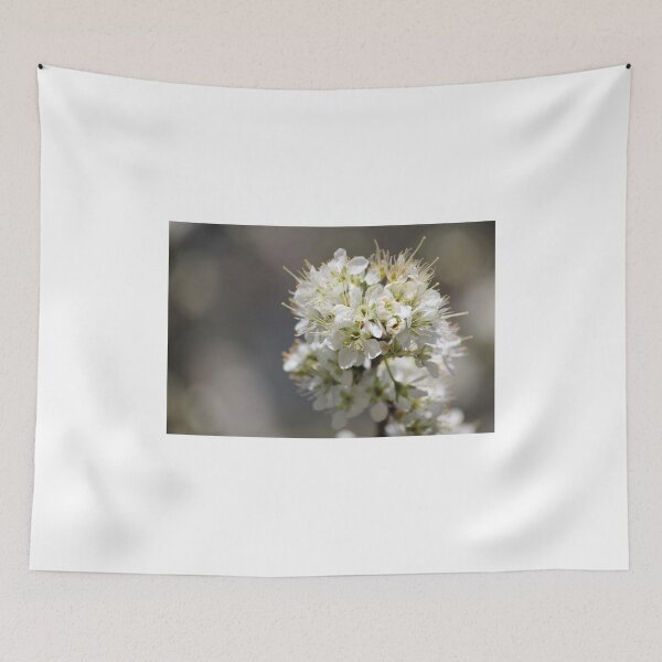 Item preview, Plum Tree Blossoms designed and sold by DebbieCHayes.