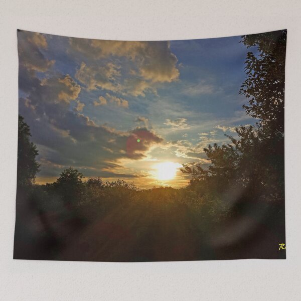 Item preview, "Back Yard Sunset" designed and sold by Robert Regenold's Art Shop.