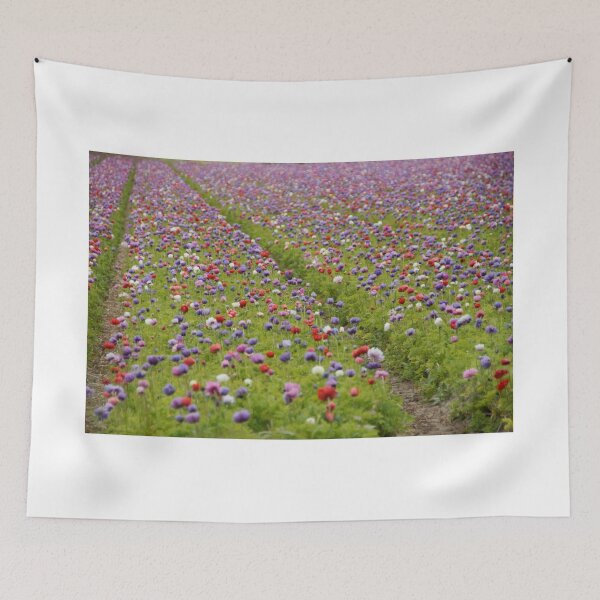 Item preview, anemonefield designed and sold by DCarlier.