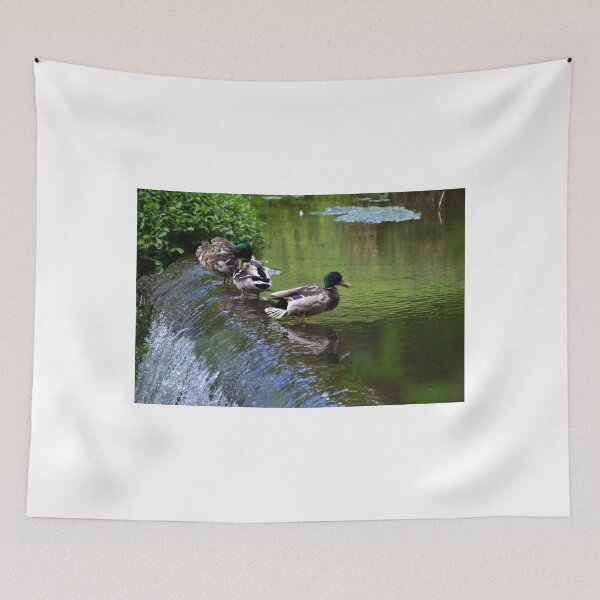 Item preview, Ducks on the river  designed and sold by lynn carter.