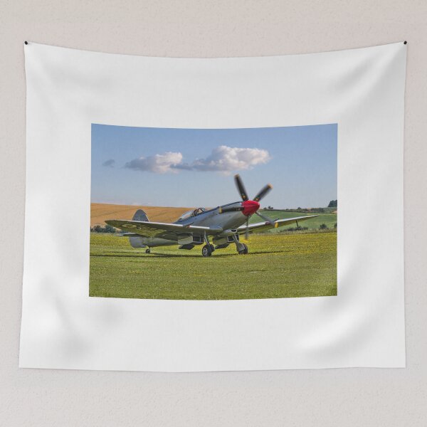 Item preview, Spitfire FR.XVIIIe SM845/R G-BUOS taxying in designed and sold by Colin Smedley.