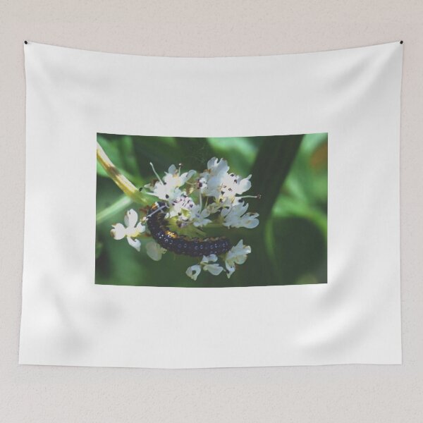 Item preview, Caterpillar at Radipole, Weymouth Dorset UK designed and sold by lynn carter.