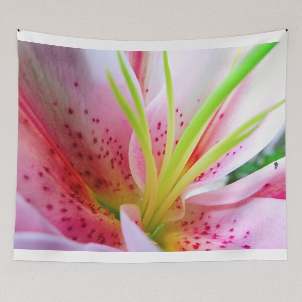 Item preview, star gazer up close designed and sold by lensbaby.