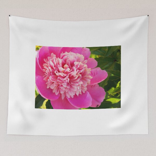 Item preview, Blooming Peony designed and sold by mezzilicious.