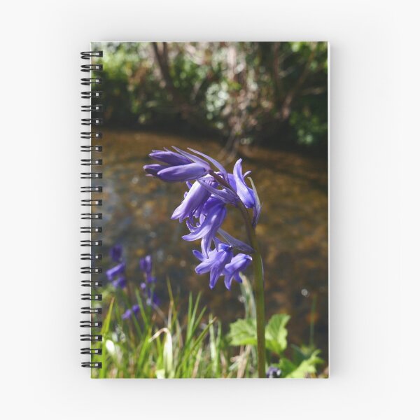 Item preview, Bluebell (Hyacinthoides non-scripta) designed and sold by IOMWildFlowers.