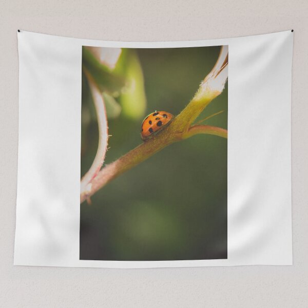 Item preview, Ladybug designed and sold by Lindsay Osborne.