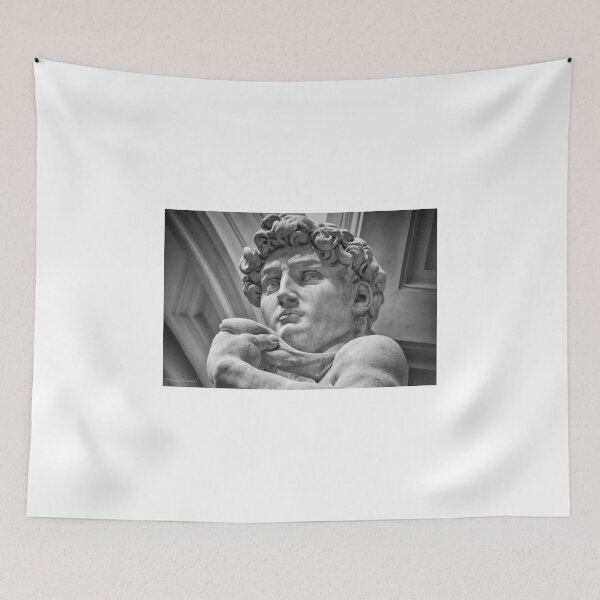 Item preview, David designed and sold by TeresaB.