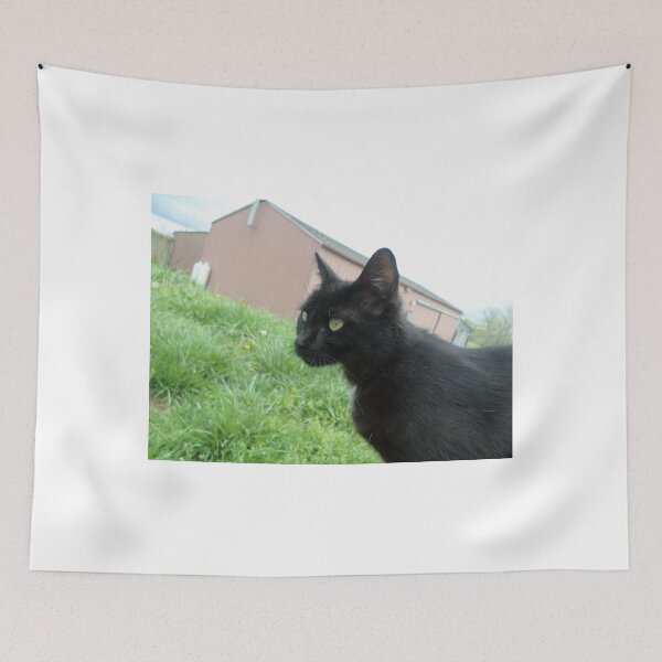 Item preview, Midnight designed and sold by Teresa Morgan.