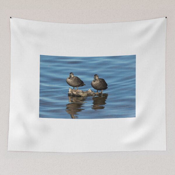 Item preview, Ducks on the Rocks designed and sold by Sandra Chung.