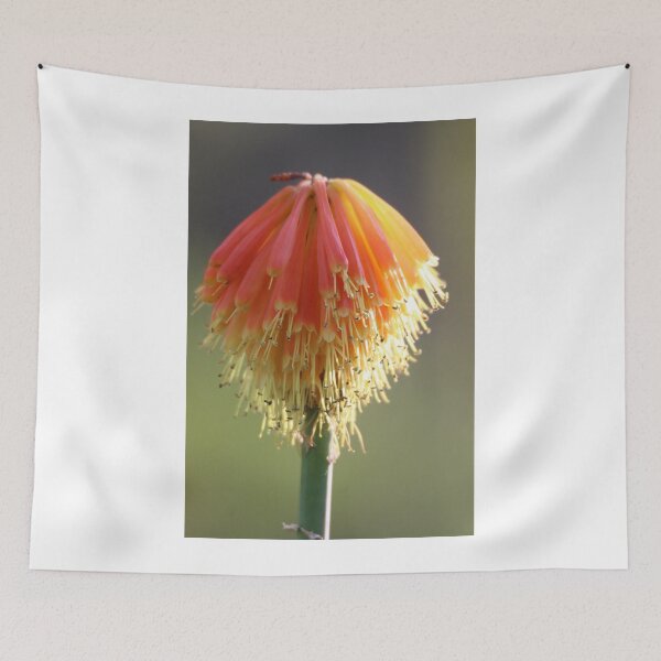 Item preview, Adelaide Botanic Gardens designed and sold by Stuart Daddow Photography.