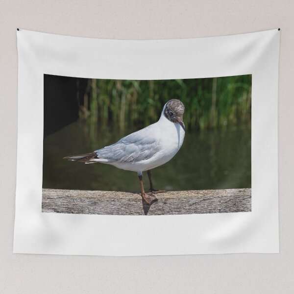 Item preview, Black-headed Gull - Larus Ridibundus designed and sold by Dorset Girl.