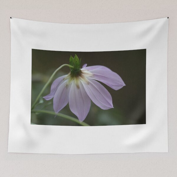 Item preview, Adelaide Botanic Gardens Part 2 designed and sold by Stuart Daddow Photography.