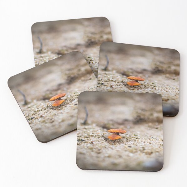 Item preview, Mushrooms in the sand designed and sold by Arc1.