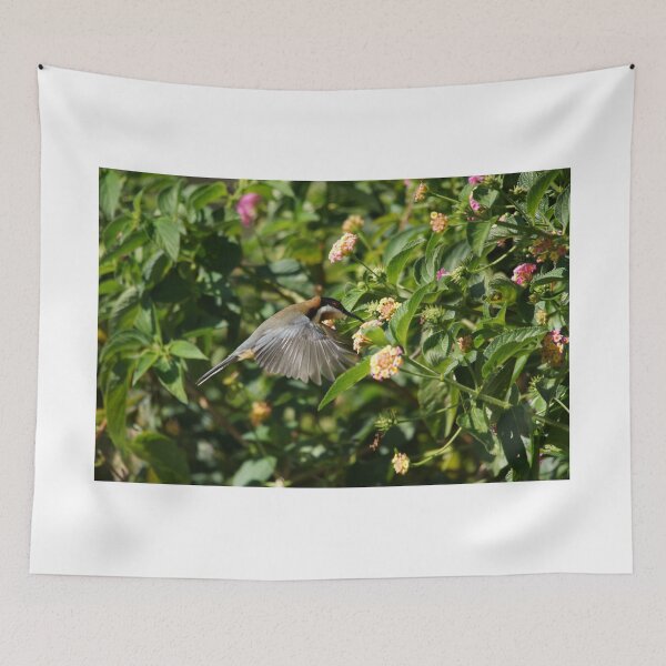 Item preview, Eastern Spinebill designed and sold by cs-cookie.