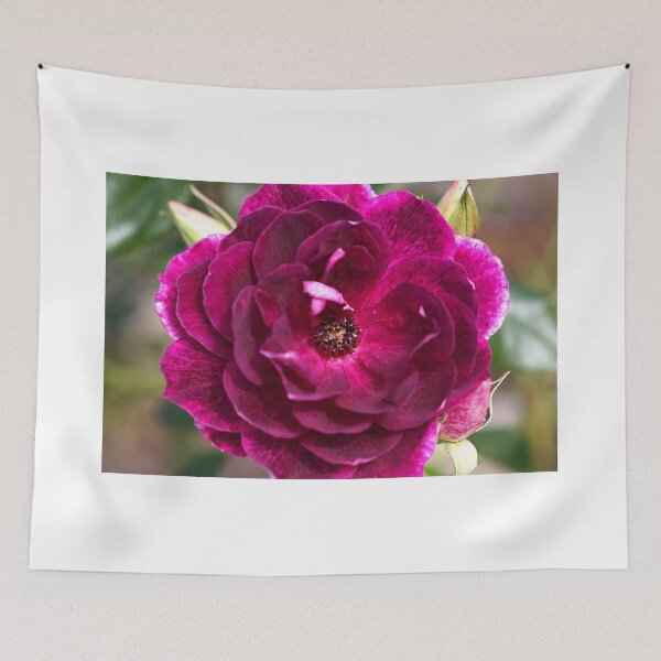 Item preview, Wonderful Rose designed and sold by Joy Watson - Natural Light Photography .