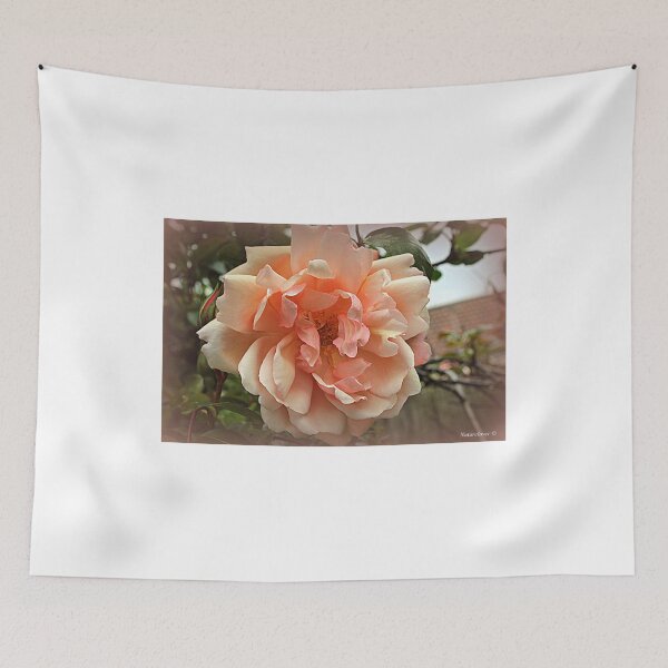 Aperçu de l'œuvre Dusky Rose créée et vendue par naturelover.