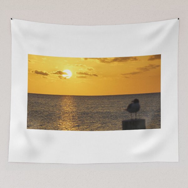 Item preview, Disappearing Seagull designed and sold by Scott Dovey.