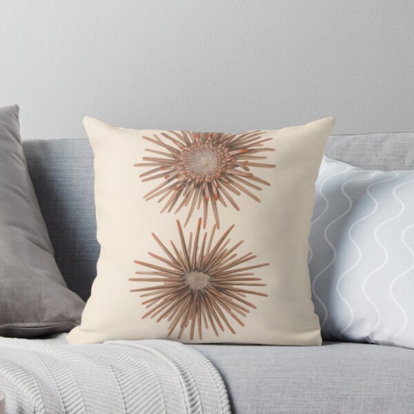 Item preview, Naturalist Sea Urchins designed and sold by BlueSpecsStudio.