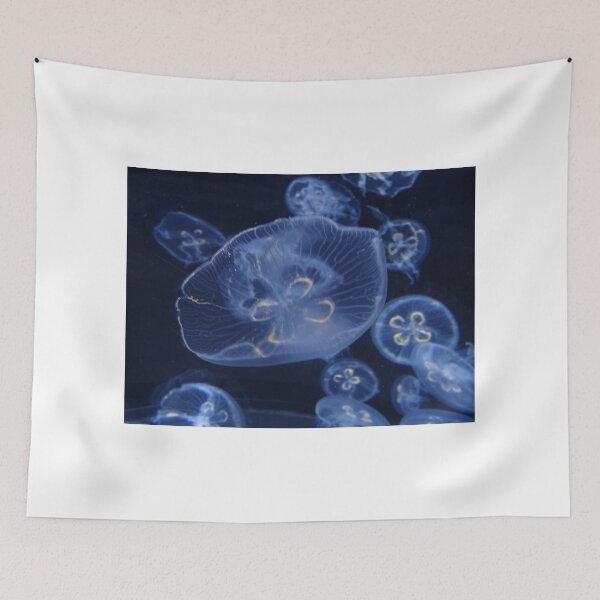 Item preview, Jellyfish of the Moon designed and sold by Julie Duczynski.