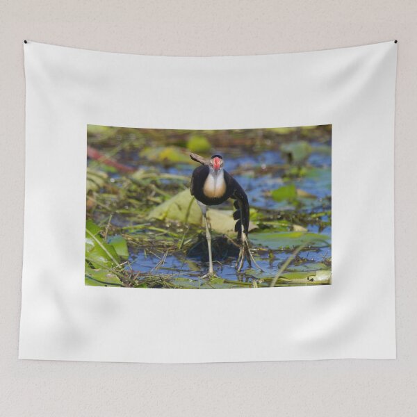 Item preview, Jacana Dance designed and sold by byronbackyard.