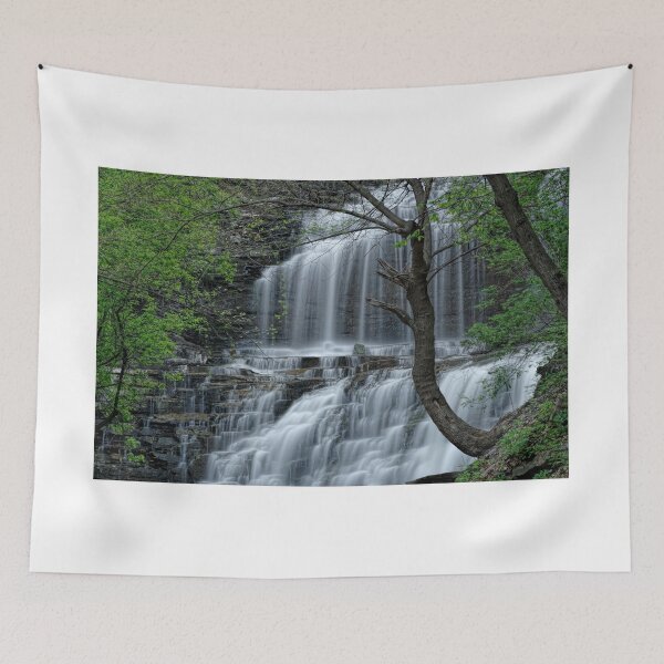 Item preview, Falls along Cascadilla Gorge designed and sold by Stephen Beattie.