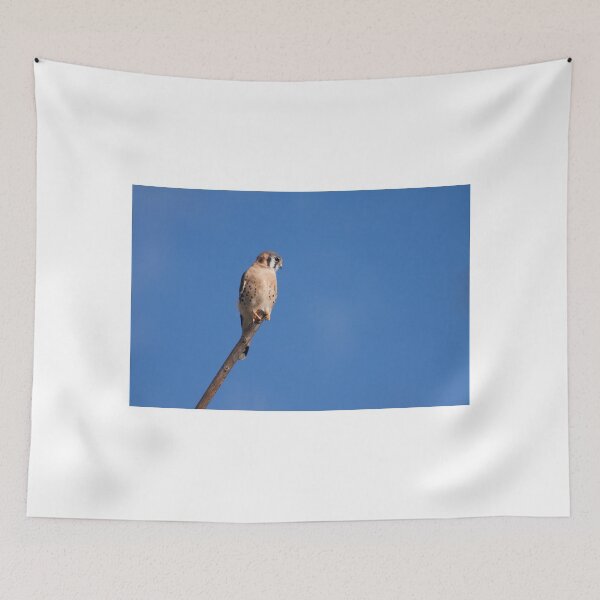 Item preview, The American designed and sold by EugeJ.