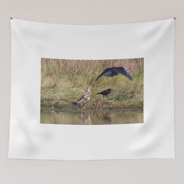 Item preview, Whistling Kite vs Crows designed and sold by byronbackyard.