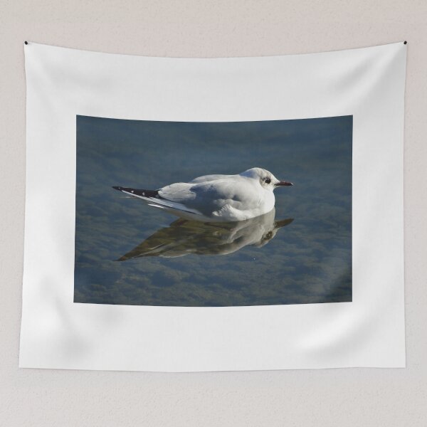 Item preview, Reflecting Gull designed and sold by Studio 4 Photo.