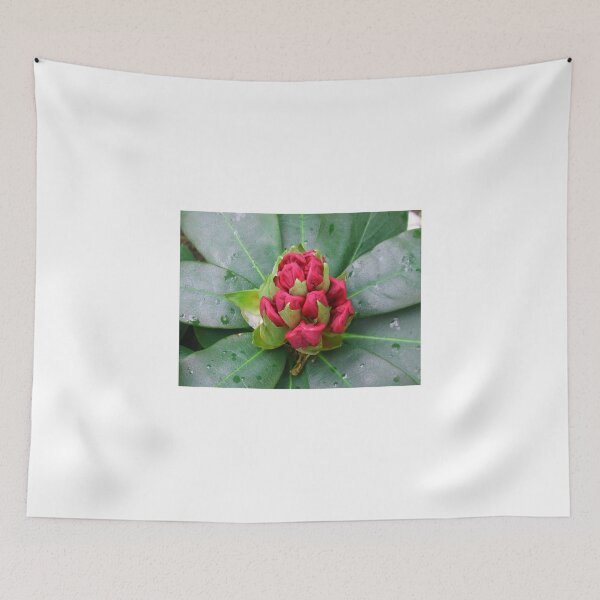 Item preview, Red Rhodo Bud Emerging designed and sold by Kathryn Jones.