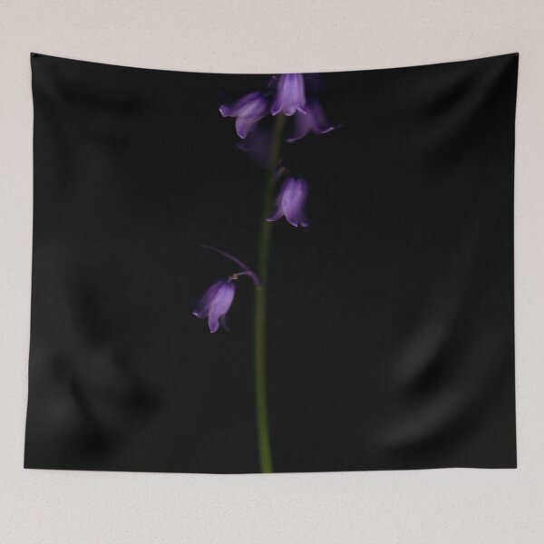 Item preview, Bluebell - Three designed and sold by Studio 4 Photo.