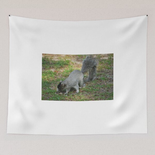 Item preview, A Southern Fox Squirrel designed and sold by Bob Sample.