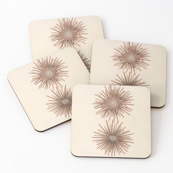 Item preview, Naturalist Sea Urchins designed and sold by BlueSpecsStudio.