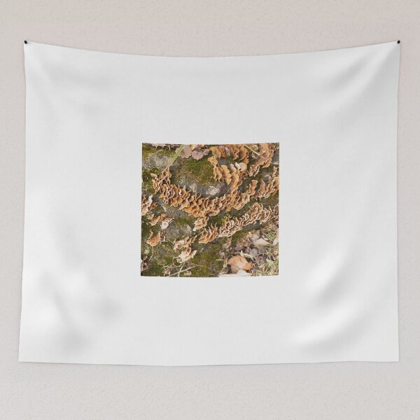 Item preview, Bracket fungus designed and sold by Thaddeus Zajdowicz.