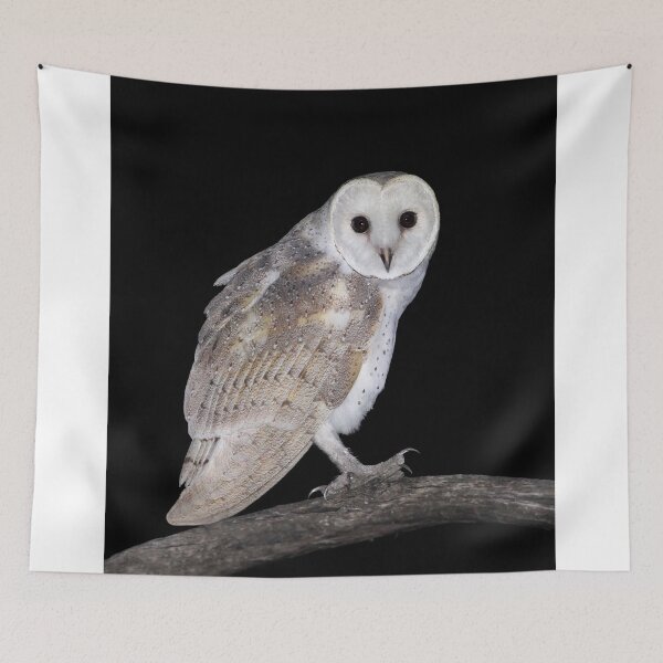 Item preview, Barn Owl 4 designed and sold by Seesee.