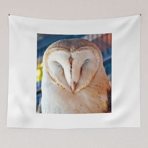 Item preview, Sleeping Barn Owl designed and sold by Amy McDaniel.