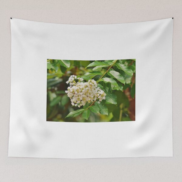 Item preview, White Crepe Myrtle designed and sold by Scott Mitchell.