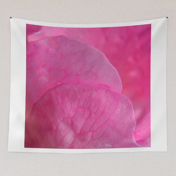Aperçu de l'œuvre Pink petals créée et vendue par Bluesrose.