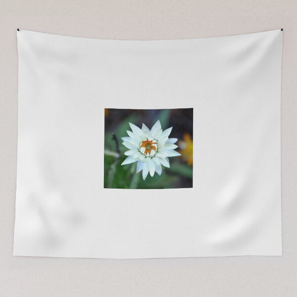 Item preview, PAPER DAISY designed and sold by kazaroodie.