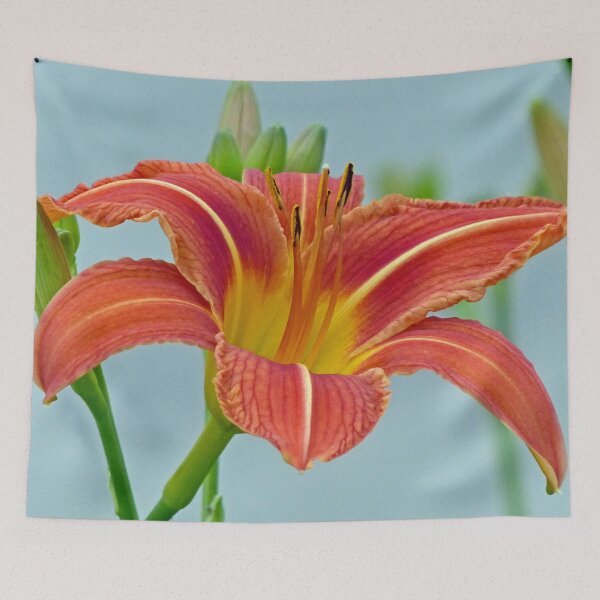 Item preview, Tiger Daylily designed and sold by Frankie Cat Photography.