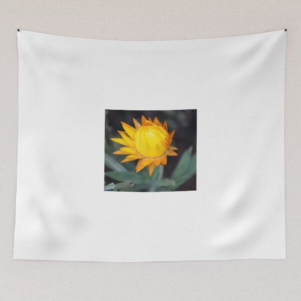 Item preview, YELLOW PAPER DAISY BUD designed and sold by kazaroodie.