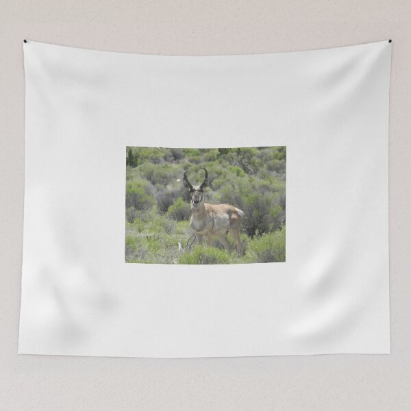 Item preview, Arizona Pronghorn designed and sold by Leyla Hur.