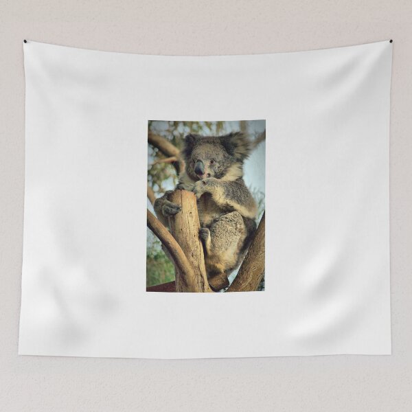Item preview, Koala designed and sold by Clive.