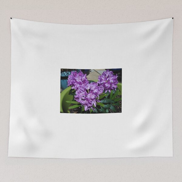 Item preview, Sunlit Purple Rhododendron Blossoms designed and sold by SunriseRose.