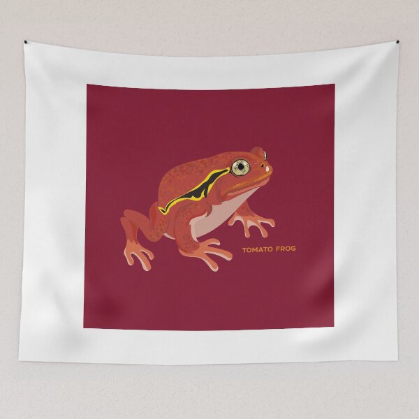 Item preview, Frogs: Tomato Frog designed and sold by Peppermint Narwhal.