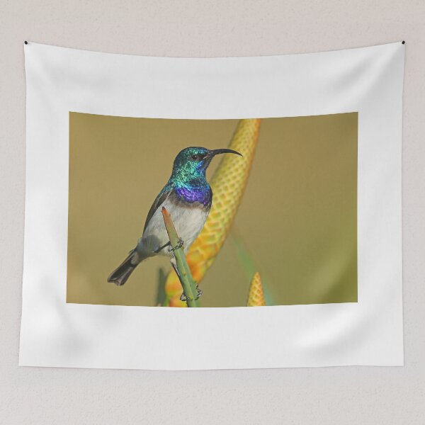Item preview, White Bellied Sunbird II designed and sold by Anthony Goldman.